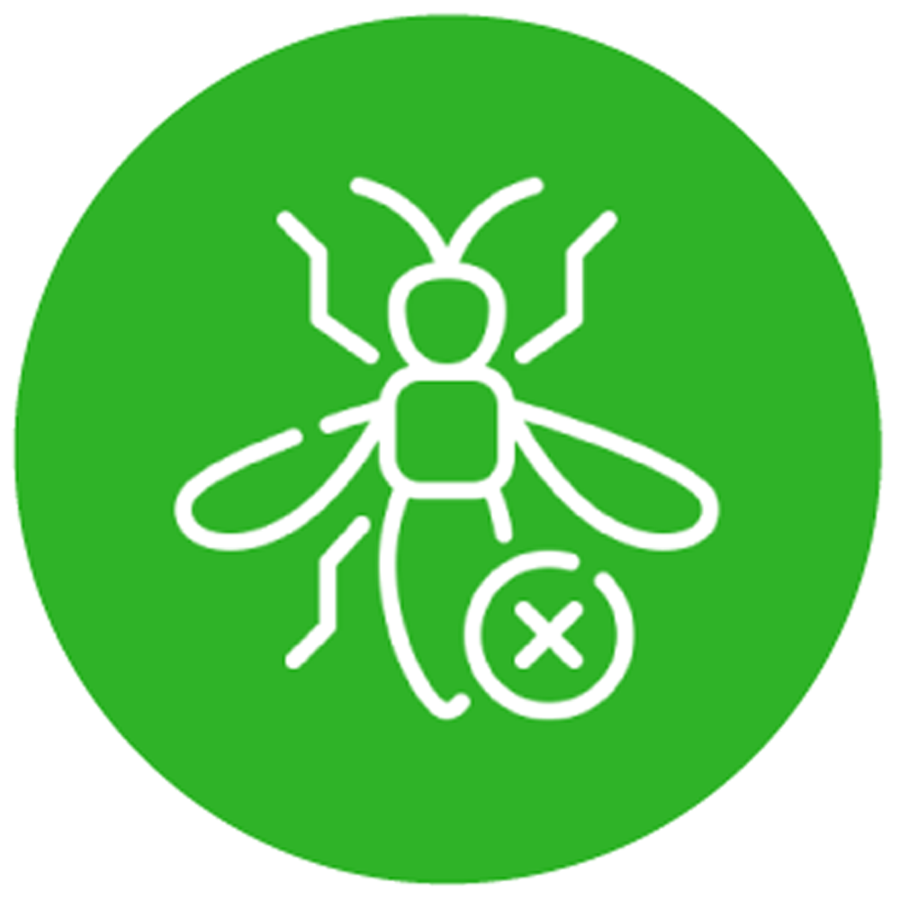 Ants Control Services