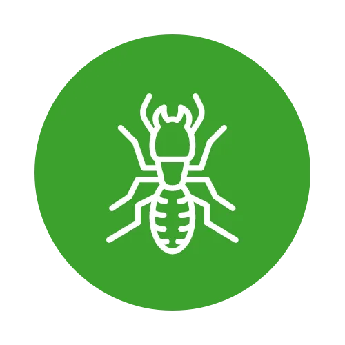 Termite Treatment