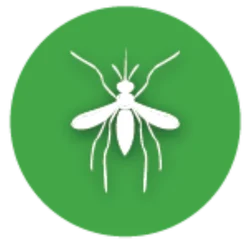 Mosquitoes Control Services
