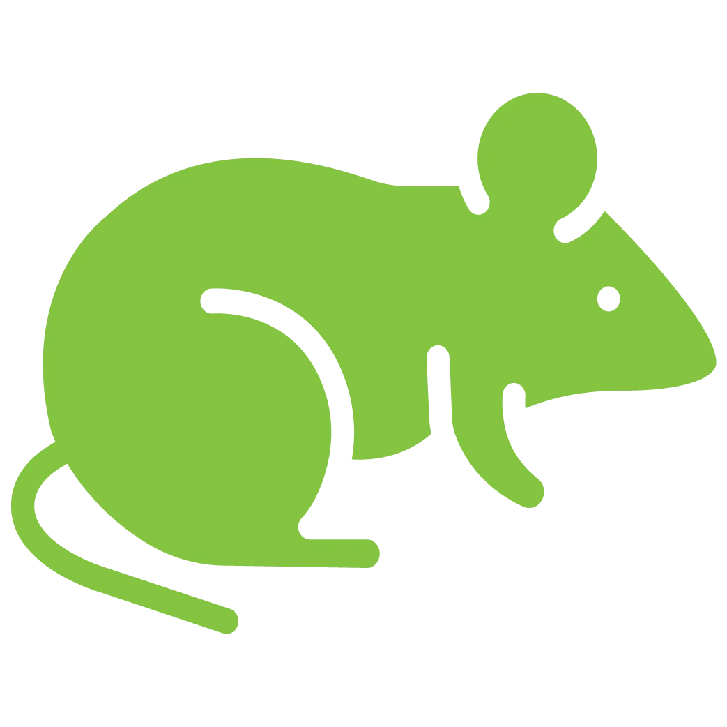 rat control service