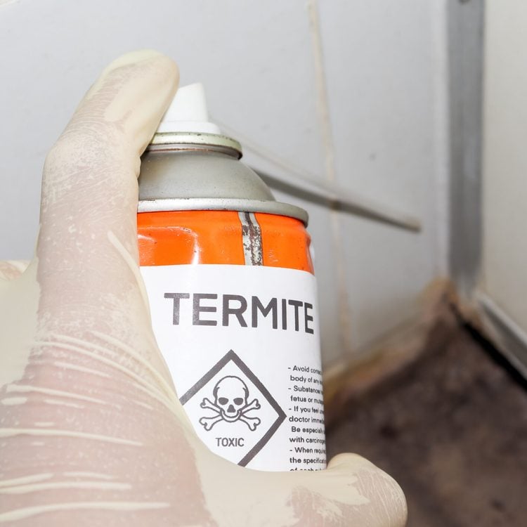 Disinfection service